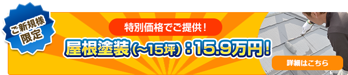 屋根塗装（～15坪）：15.9万円！